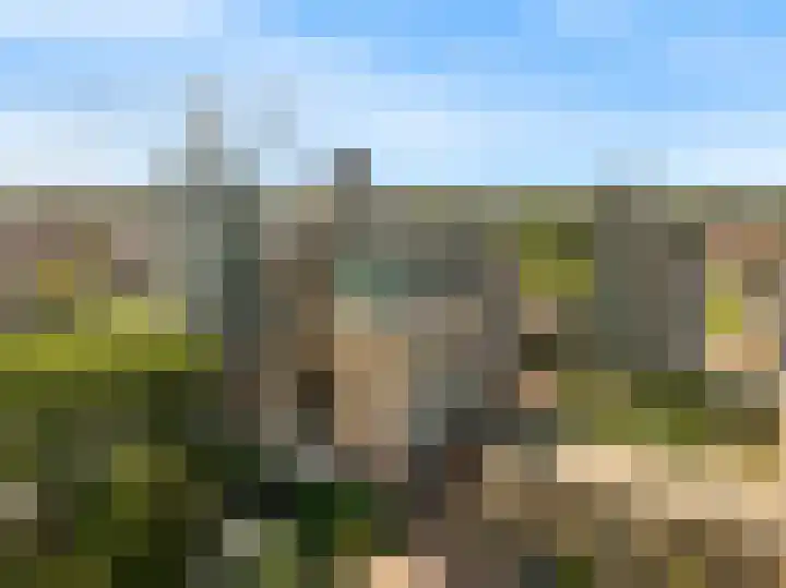 Maalderijstraat 46 in Leiden