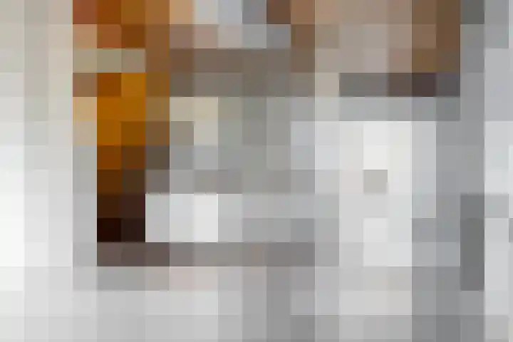 Maalderijstraat 46 Leiden thumbnail 21