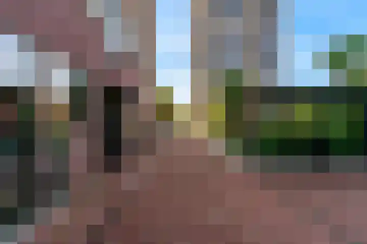 Maalderijstraat 46 Leiden thumbnail 4