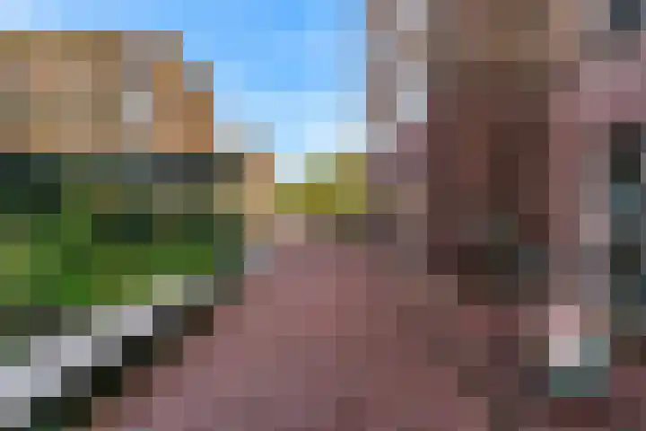 Maalderijstraat 46 Leiden thumbnail 5