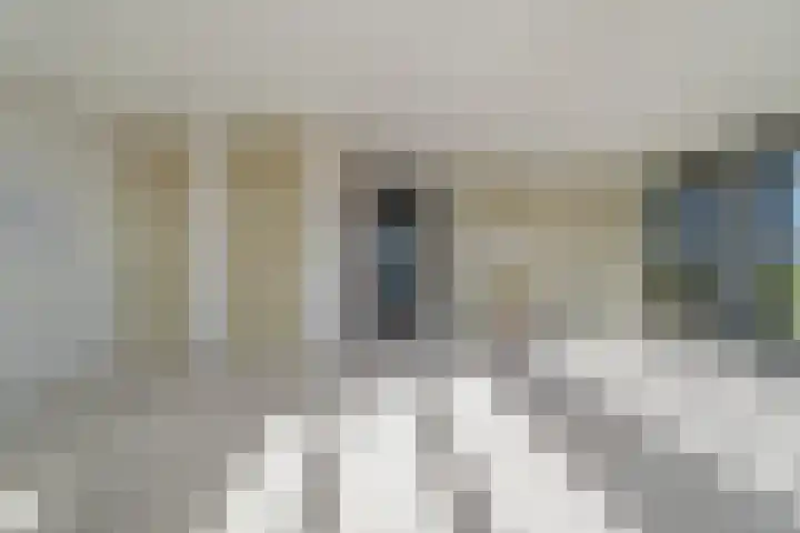 Maalderijstraat 47 Leiden thumbnail 7