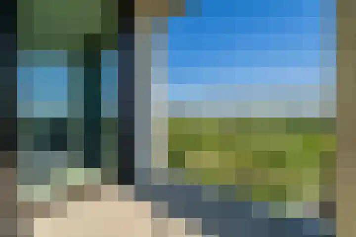 Maalderijstraat 47 Leiden thumbnail 9