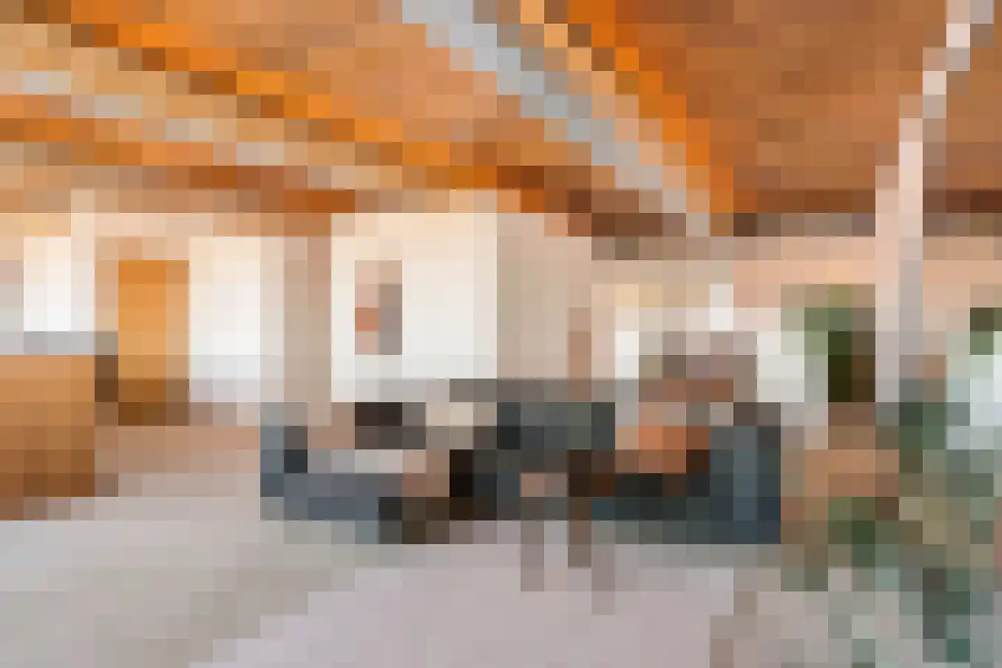 Maalderijstraat 56 Leiden thumbnail 17