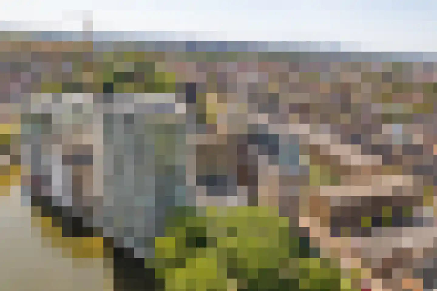 Maalderijstraat 56 Leiden thumbnail 5