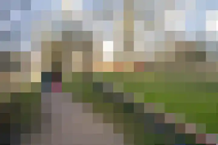 Maalderijstraat 63 Leiden thumbnail 25