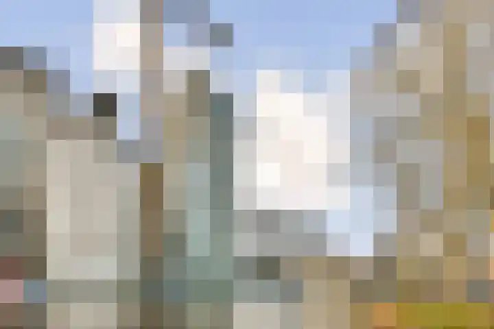 Maalderijstraat 63 Leiden thumbnail 6