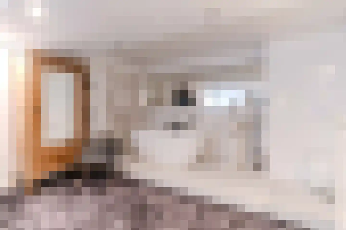 Maaldrift 1 Wassenaar thumbnail 14