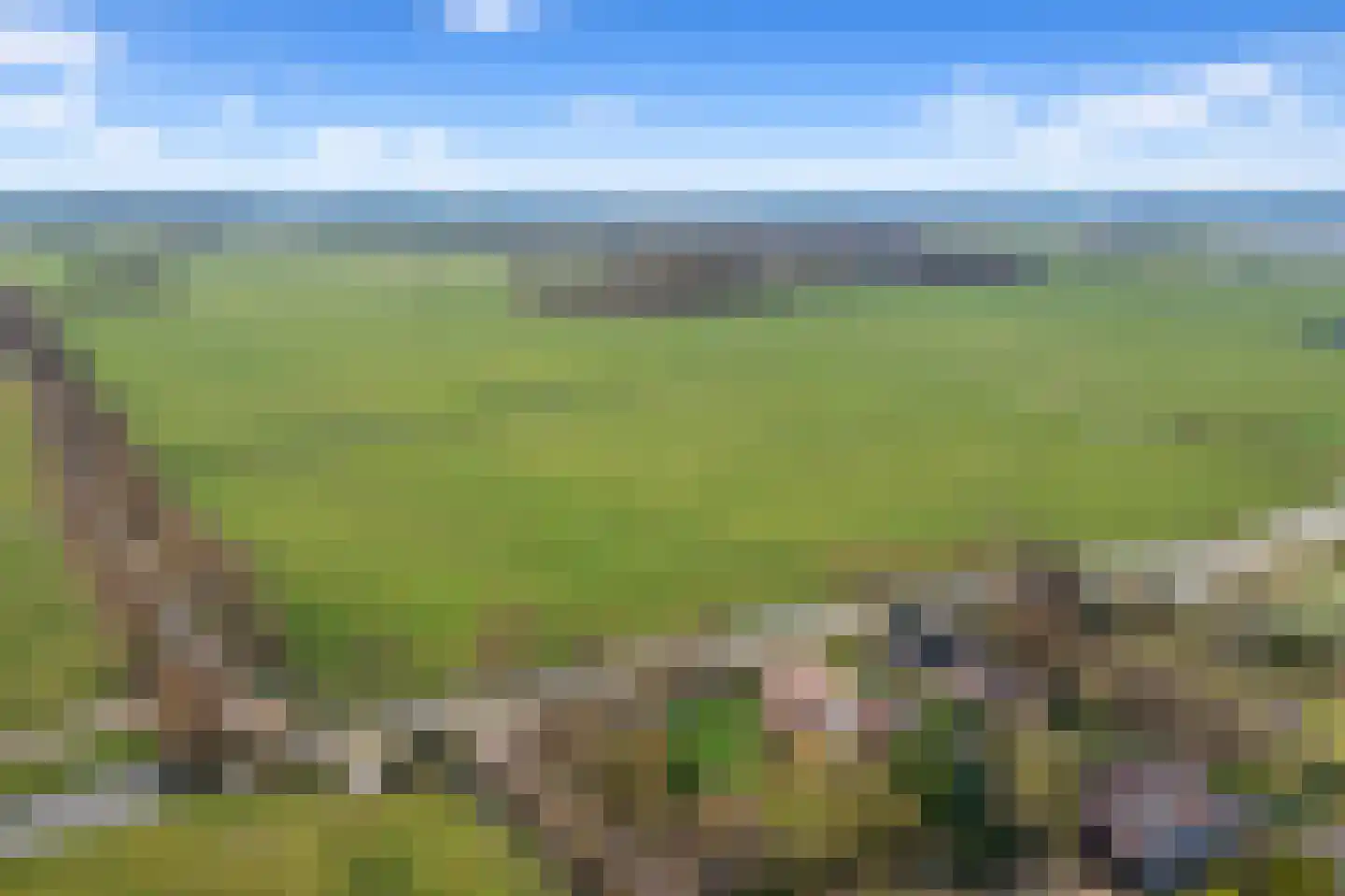 Maaldrift 1 Wassenaar thumbnail 28
