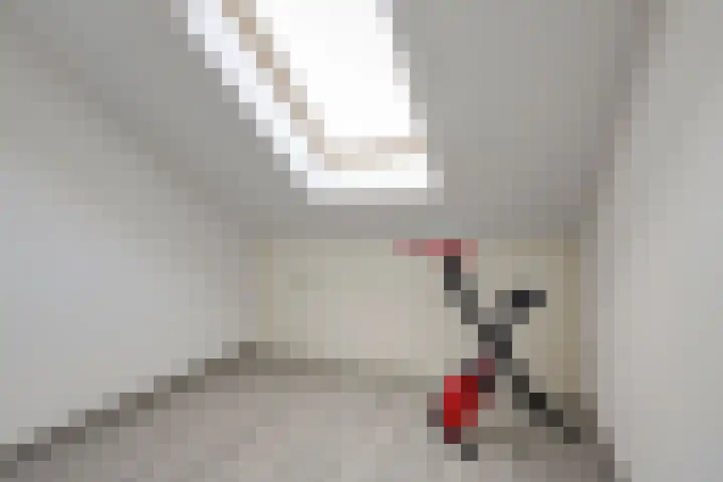 Maalgang 24 Zeewolde thumbnail 35