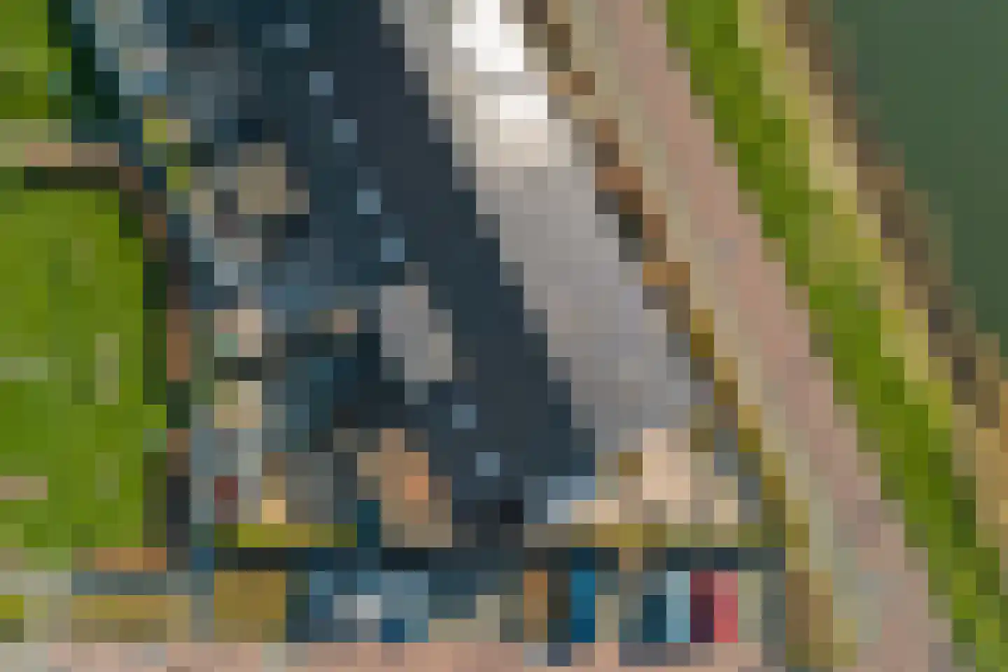 Maalgang 24 Zeewolde thumbnail 69