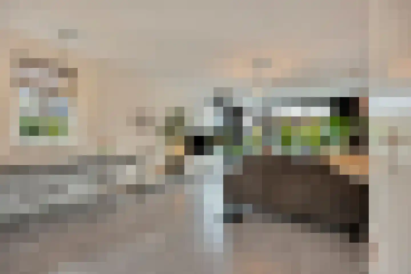 Maalkoppelsingel 1 Oude-Tonge thumbnail 10