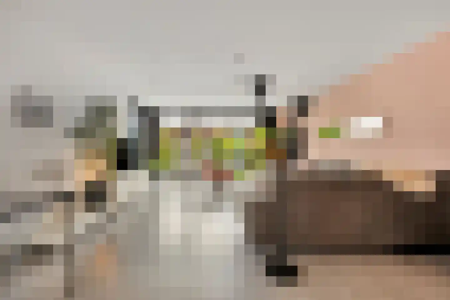 Maalkoppelsingel 1 Oude-Tonge thumbnail 11