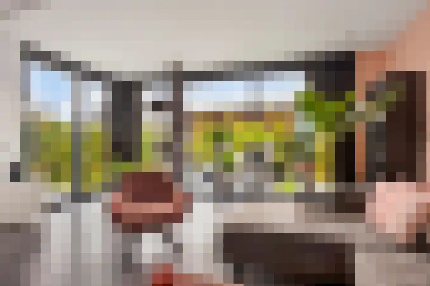 Maalkoppelsingel 1 Oude-Tonge thumbnail 12