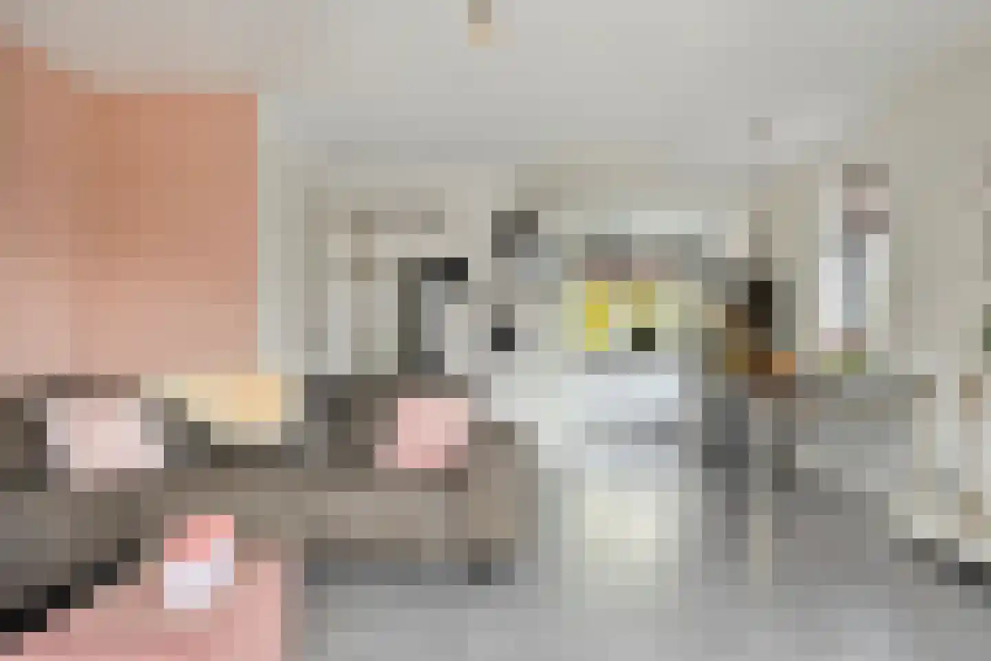 Maalkoppelsingel 1 Oude-Tonge thumbnail 13