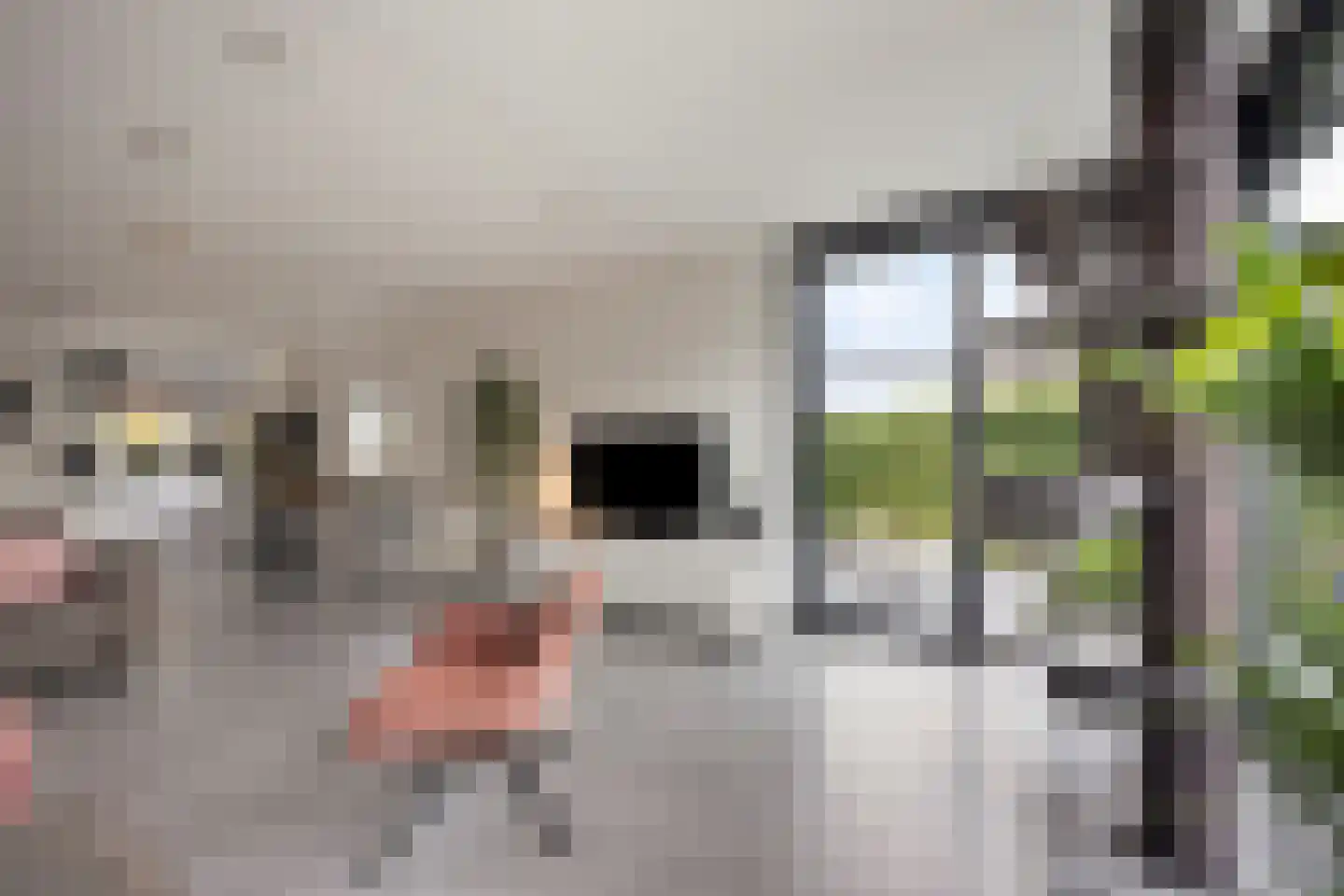 Maalkoppelsingel 1 Oude-Tonge thumbnail 14