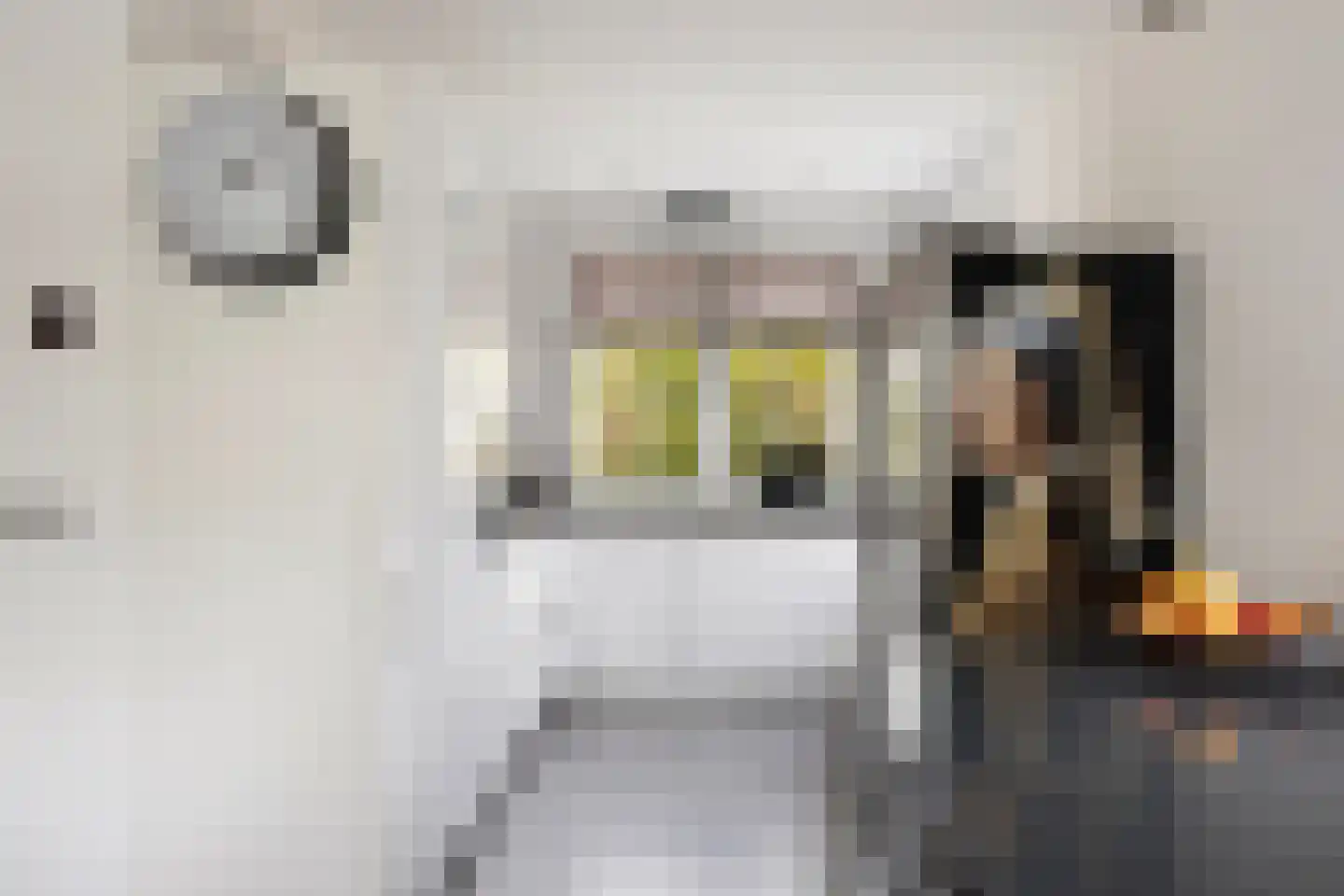 Maalkoppelsingel 1 Oude-Tonge thumbnail 15