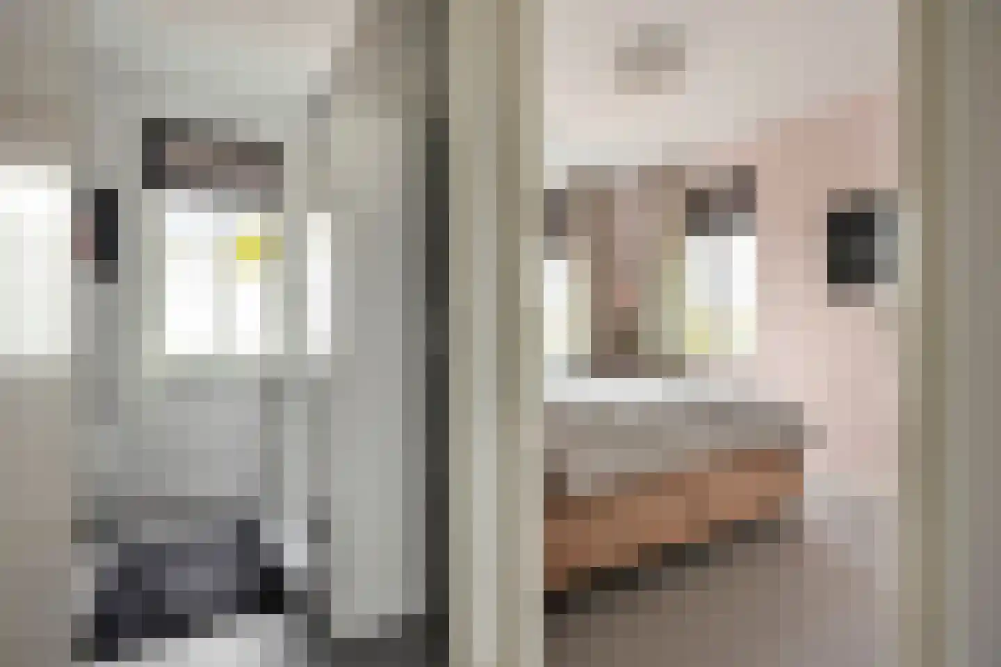 Maalkoppelsingel 1 Oude-Tonge thumbnail 20