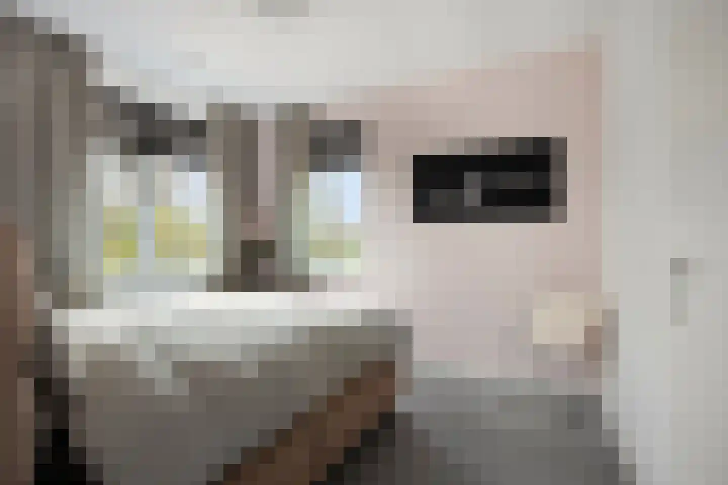 Maalkoppelsingel 1 Oude-Tonge thumbnail 21
