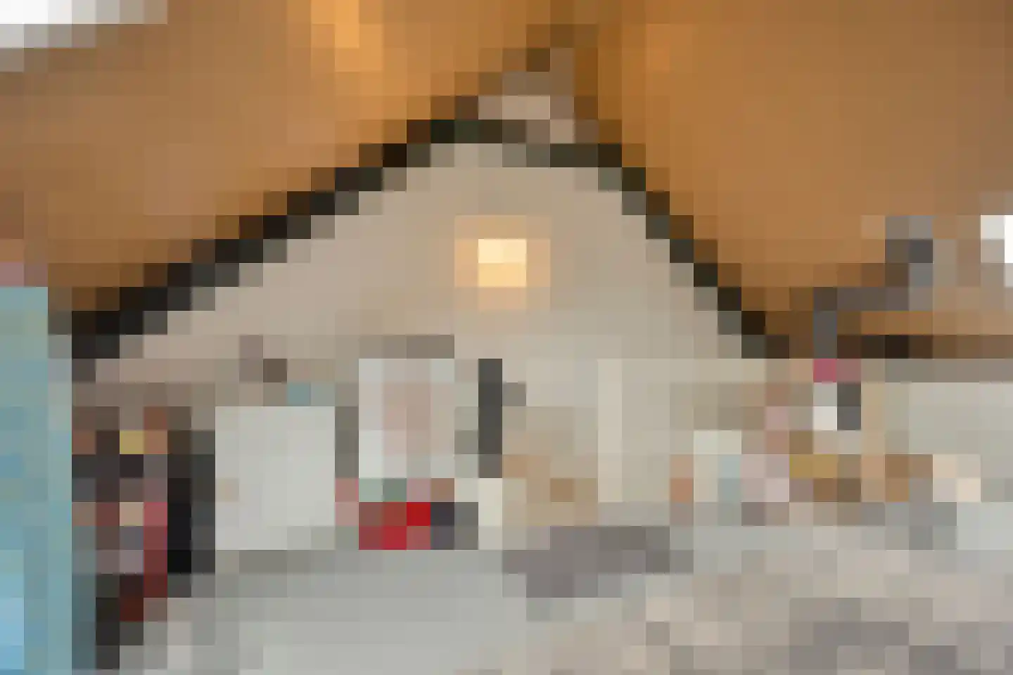 Maalkoppelsingel 1 Oude-Tonge thumbnail 30