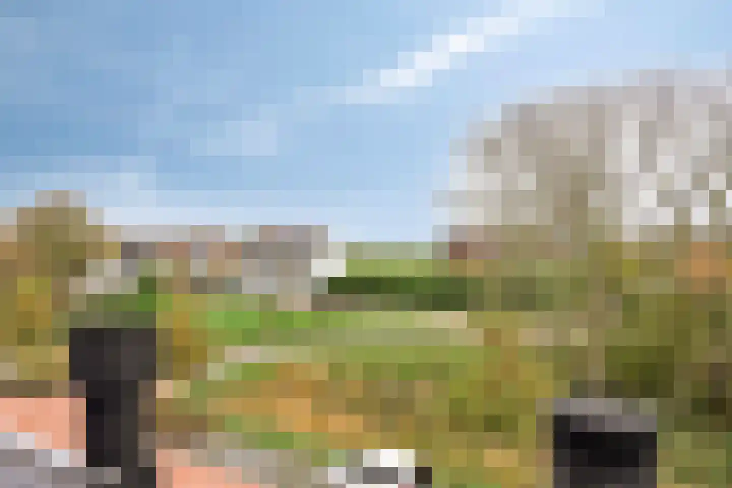 Maalkoppelsingel 1 Oude-Tonge thumbnail 32