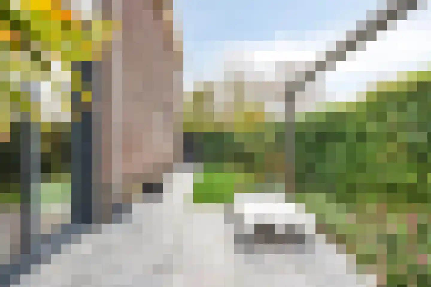 Maalkoppelsingel 1 Oude-Tonge thumbnail 33