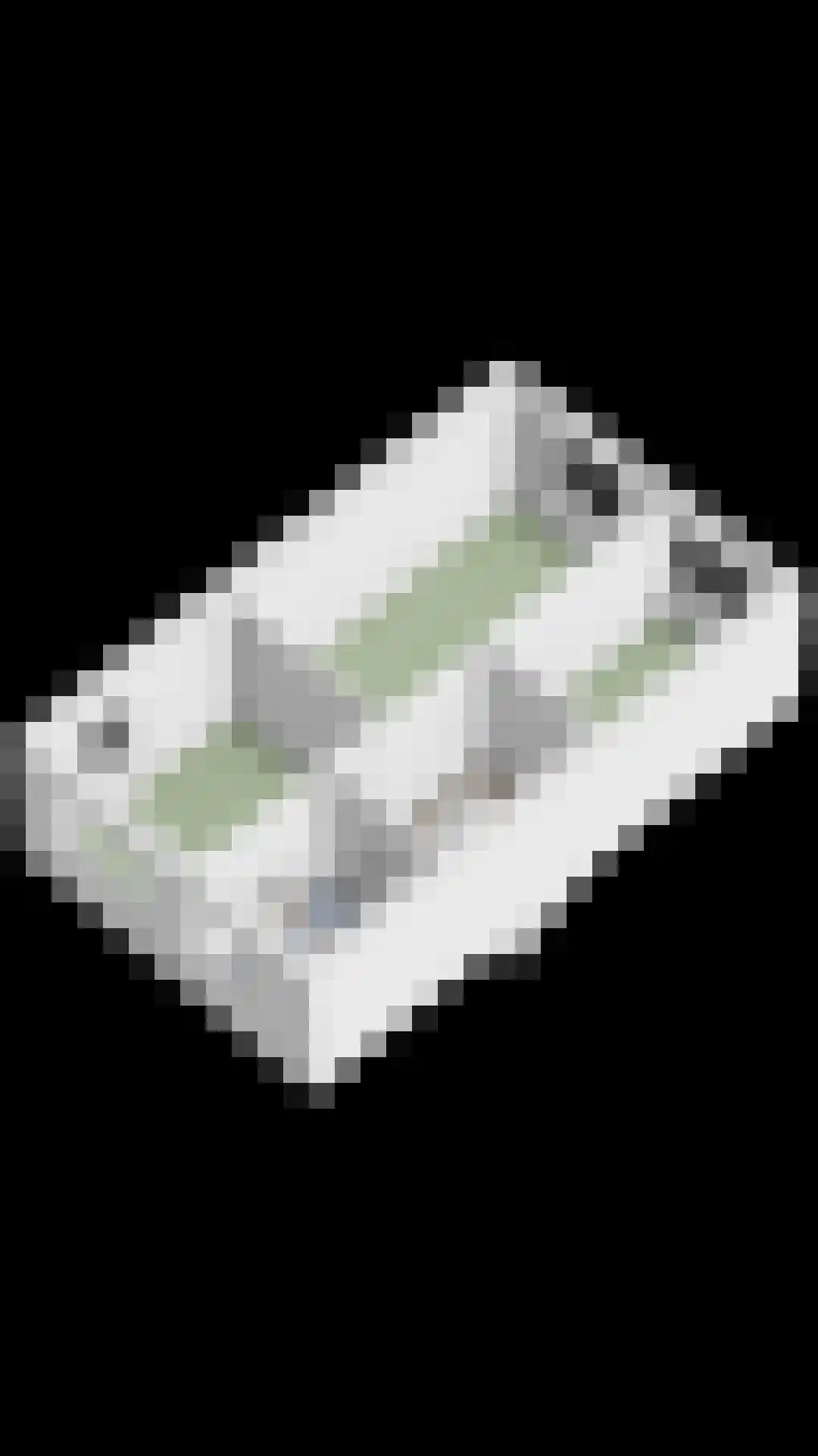 Maalkoppelsingel 1 Oude-Tonge thumbnail 45
