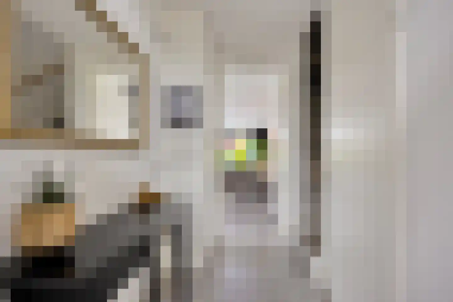 Maalkoppelsingel 1 Oude-Tonge thumbnail 7