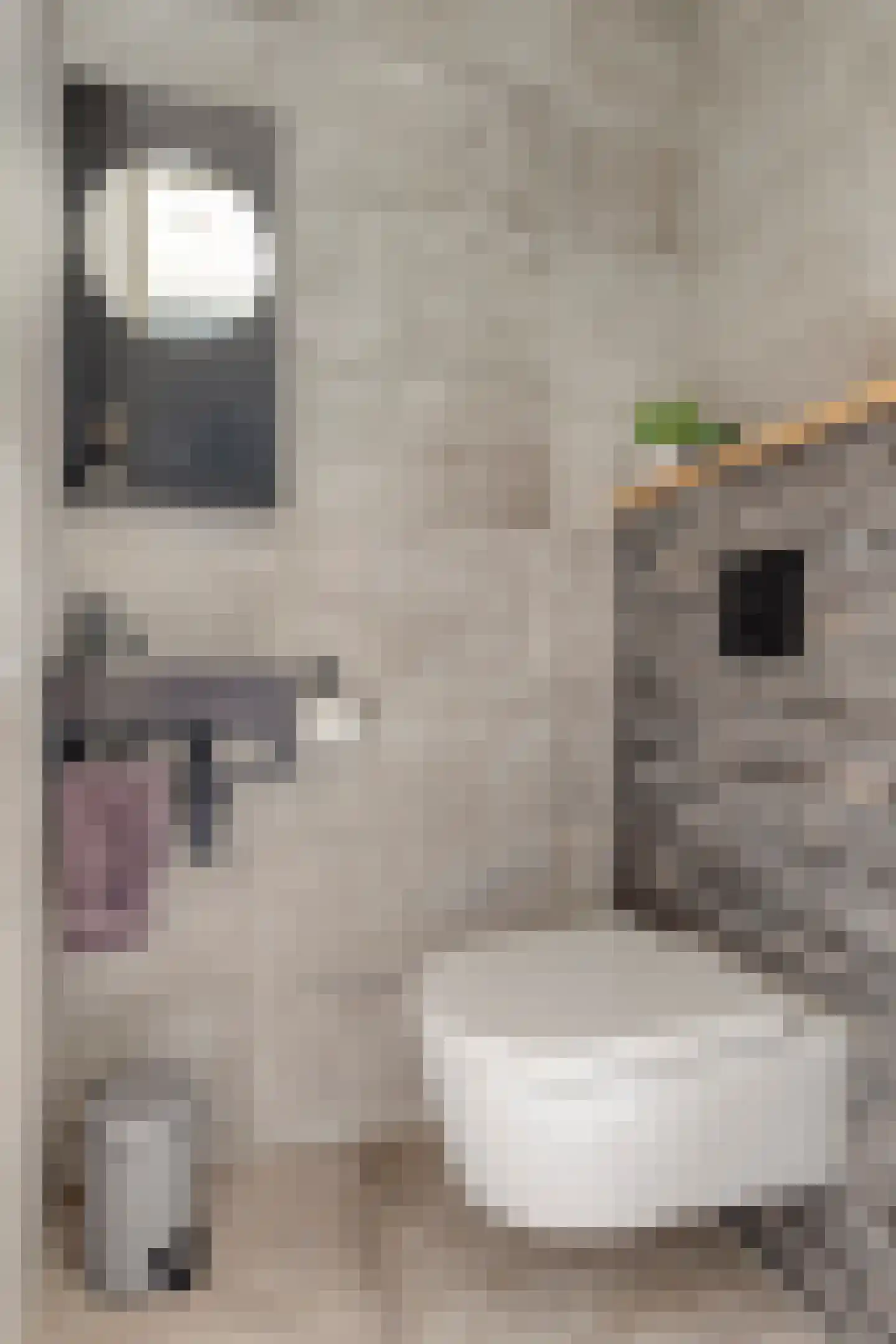 Maalkoppelsingel 9 Oude-Tonge thumbnail 10