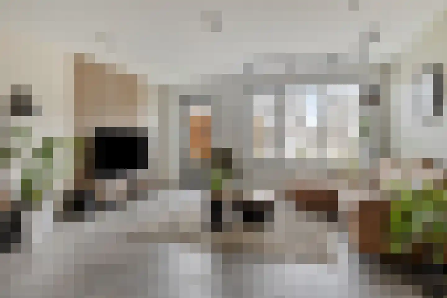 Maalkoppelsingel 9 Oude-Tonge thumbnail 11