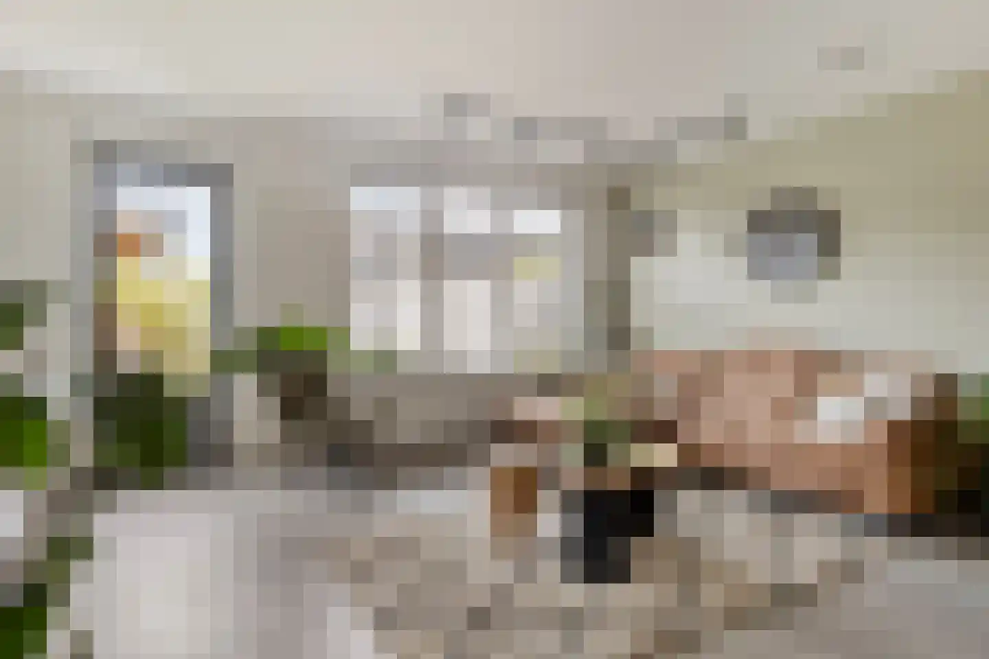 Maalkoppelsingel 9 Oude-Tonge thumbnail 12