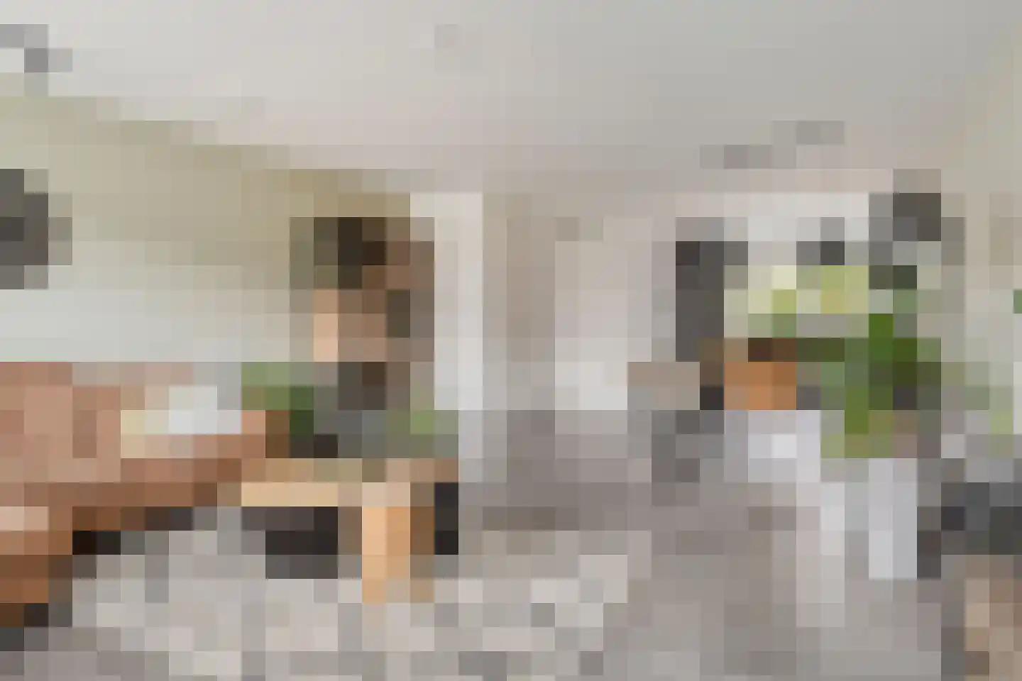 Maalkoppelsingel 9 Oude-Tonge thumbnail 13