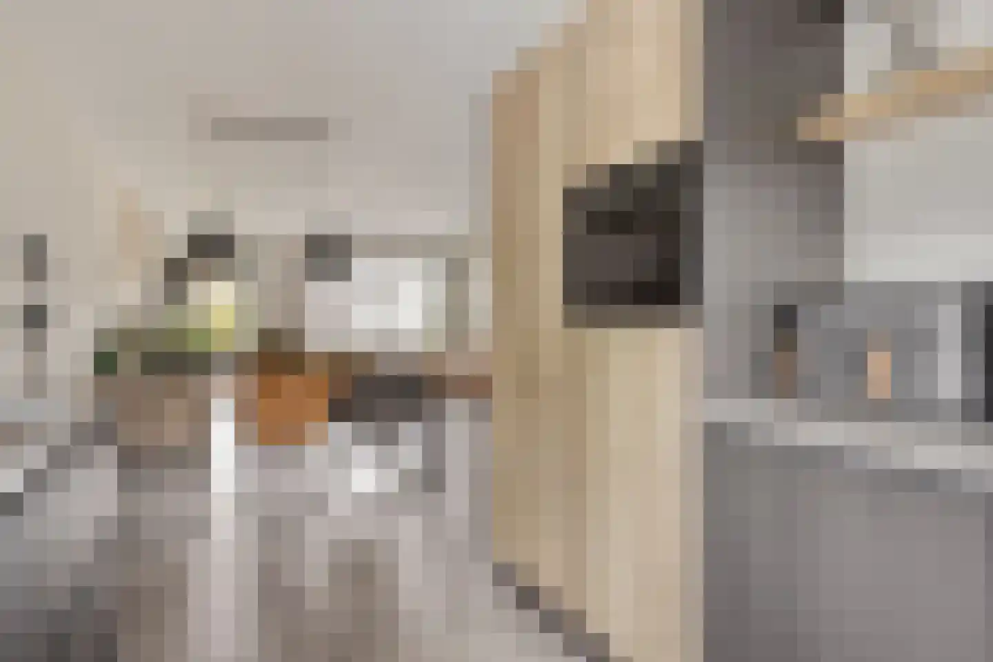 Maalkoppelsingel 9 Oude-Tonge thumbnail 16