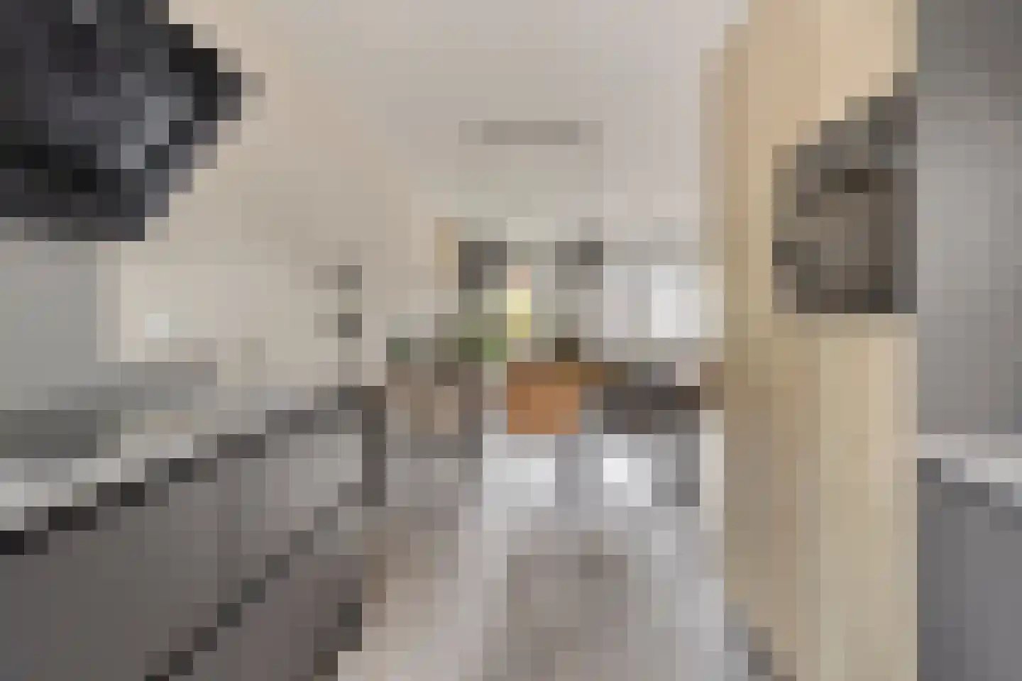 Maalkoppelsingel 9 Oude-Tonge thumbnail 17