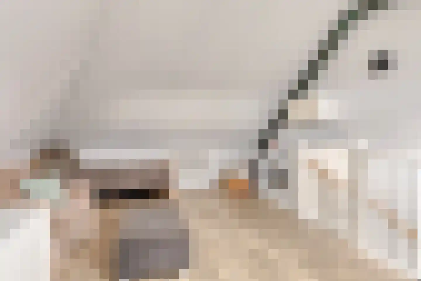 Maalkoppelsingel 9 Oude-Tonge thumbnail 30