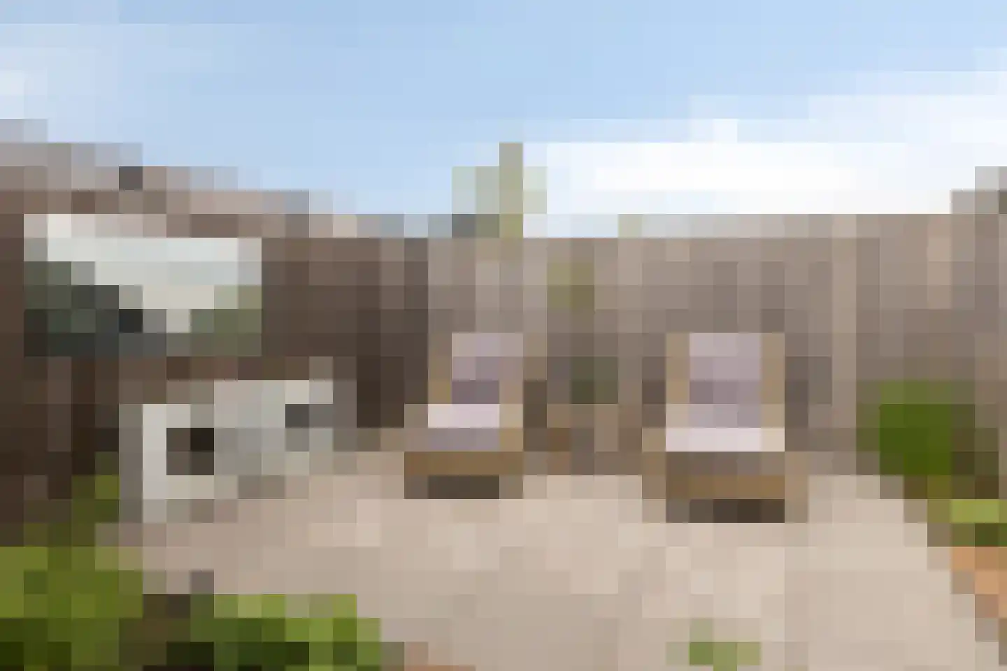 Maalkoppelsingel 9 Oude-Tonge thumbnail 34
