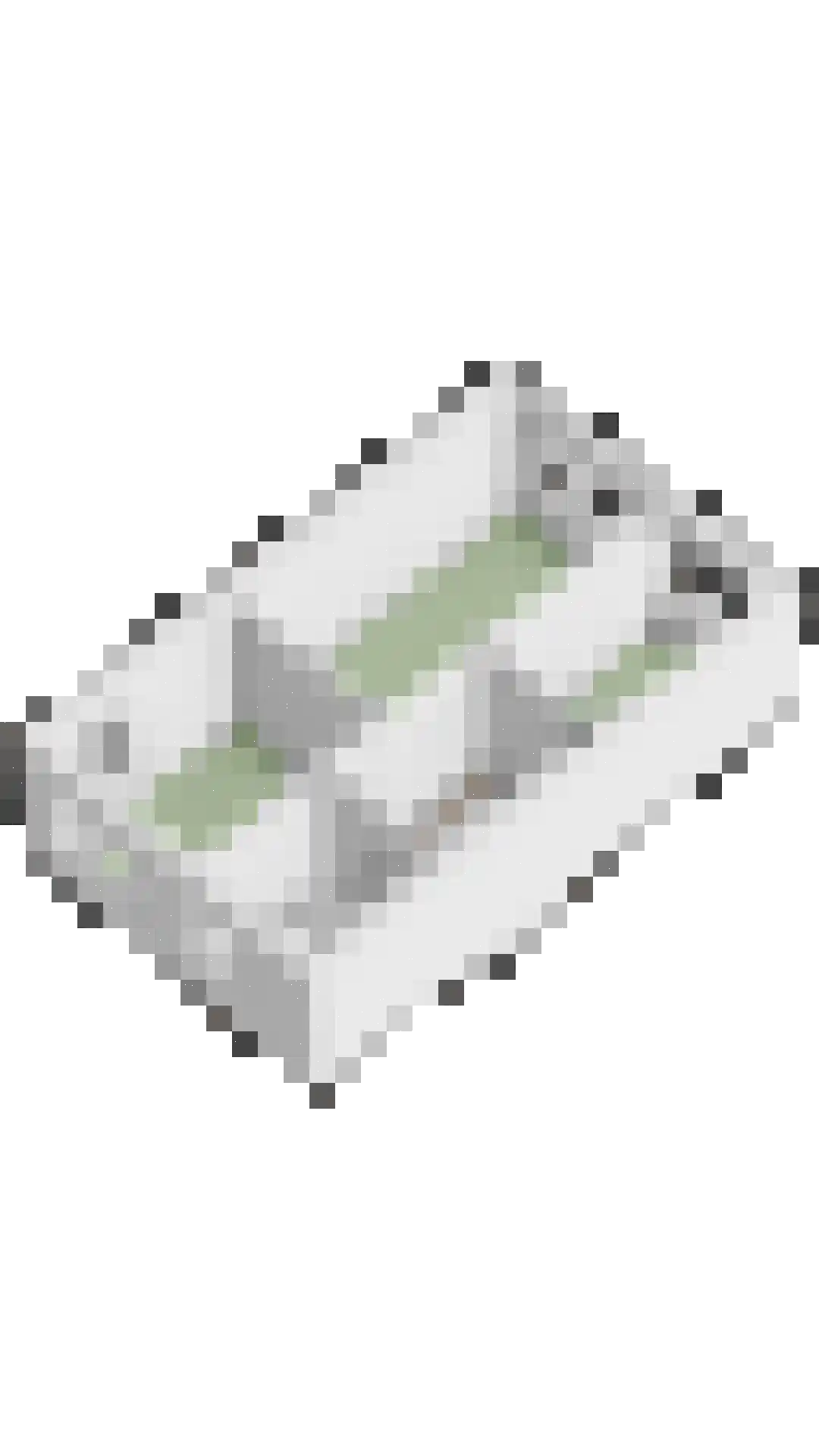 Maalkoppelsingel 9 Oude-Tonge thumbnail 46