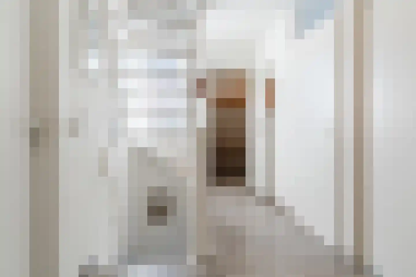 Maalkoppelweg 22 Culemborg thumbnail 22