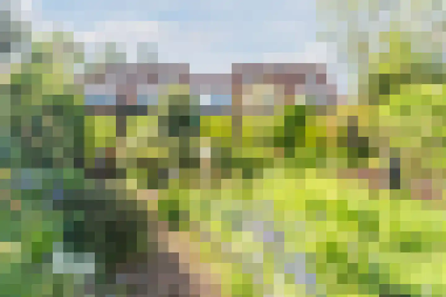 Maalkoppelweg 22 Culemborg thumbnail 29