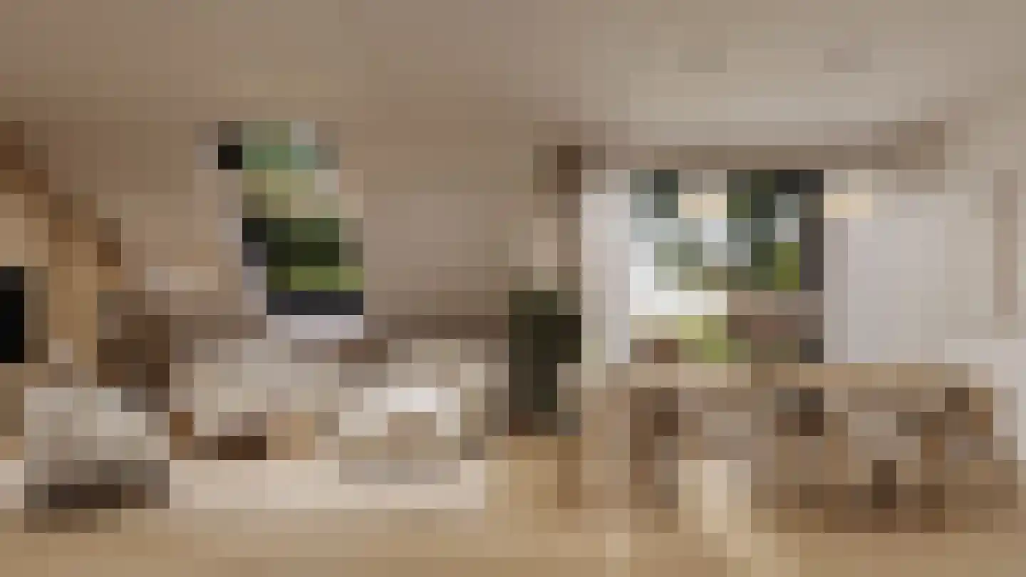 Maalstede 5 Kapelle thumbnail 4