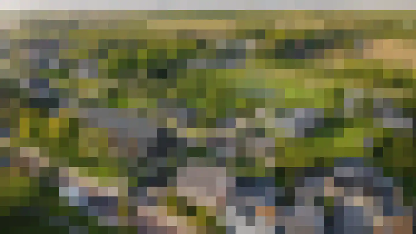 Maalstede 7 Kapelle thumbnail 6