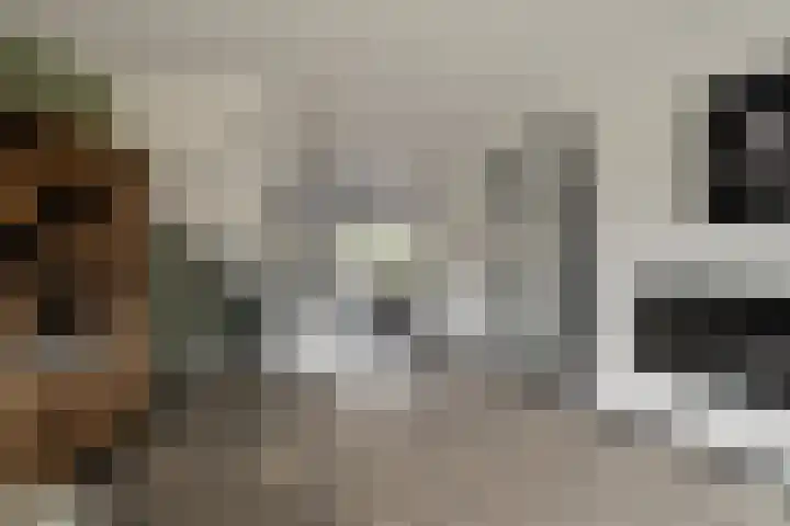 Maalsteen 12 Wieringerwaard thumbnail 10