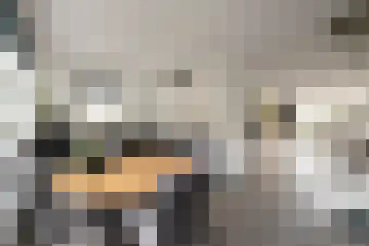 Maalsteen 12 Wieringerwaard thumbnail 11