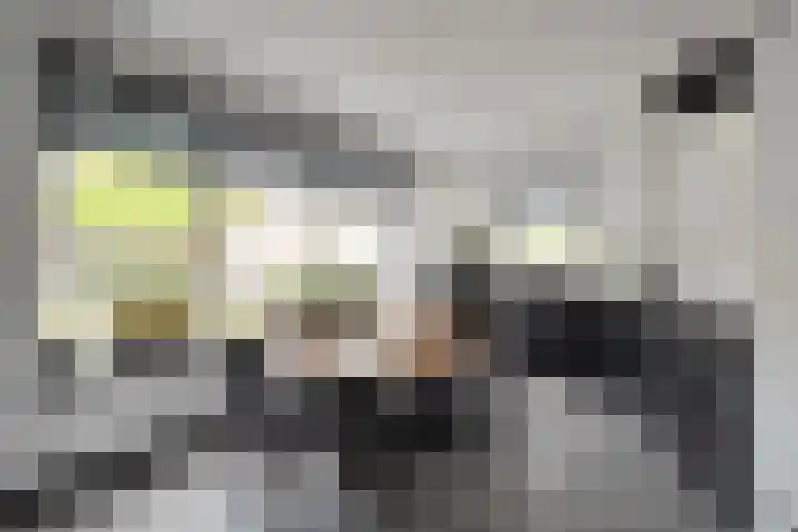 Maalsteen 12 Wieringerwaard thumbnail 12