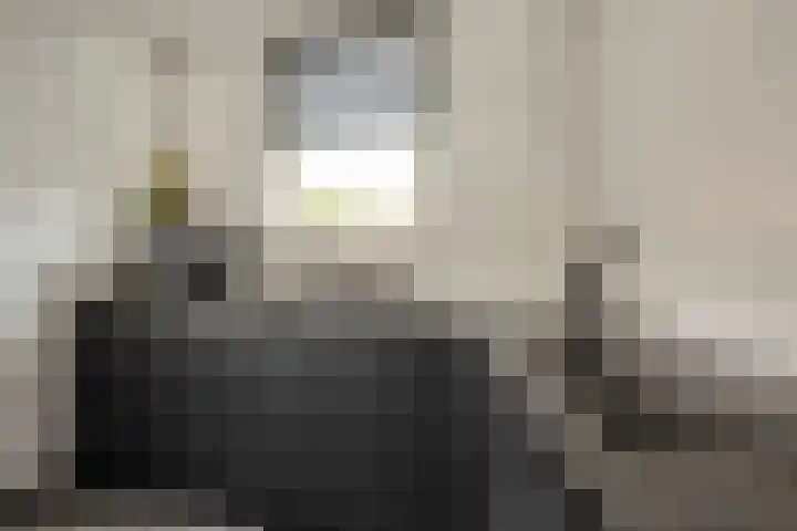 Maalsteen 12 Wieringerwaard thumbnail 13
