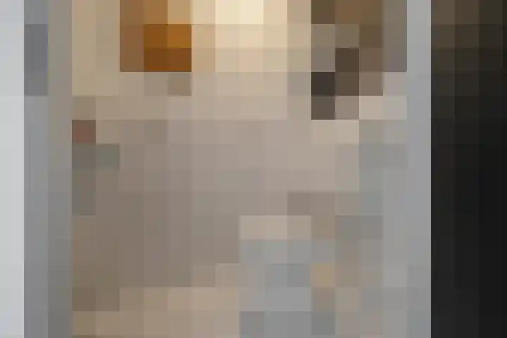 Maalsteen 12 Wieringerwaard thumbnail 15