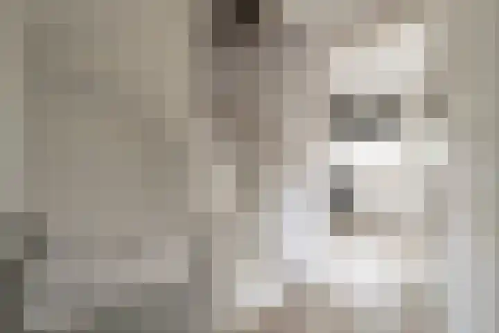 Maalsteen 12 Wieringerwaard thumbnail 16
