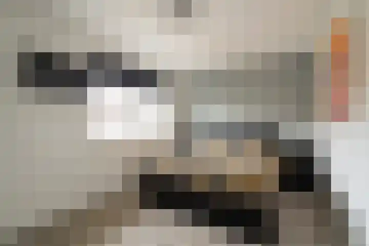 Maalsteen 12 Wieringerwaard thumbnail 17