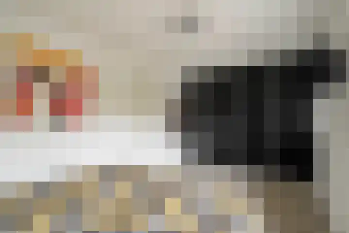 Maalsteen 12 Wieringerwaard thumbnail 18