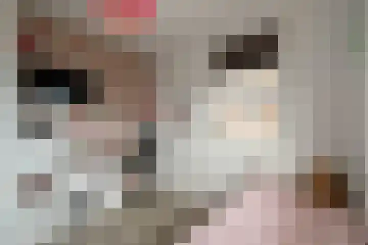 Maalsteen 12 Wieringerwaard thumbnail 20