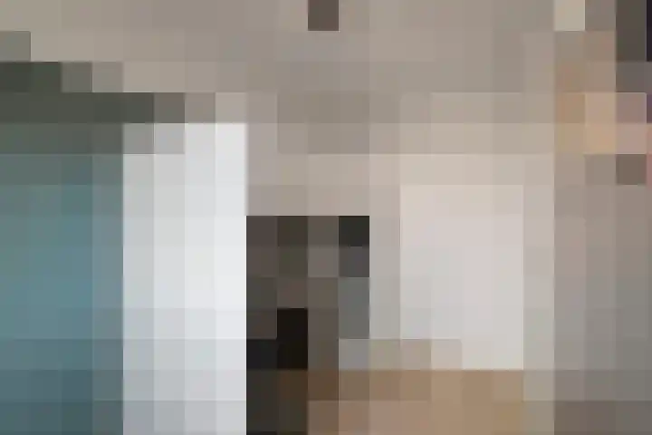 Maalsteen 12 Wieringerwaard thumbnail 22